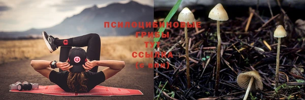 mdpv Зеленокумск