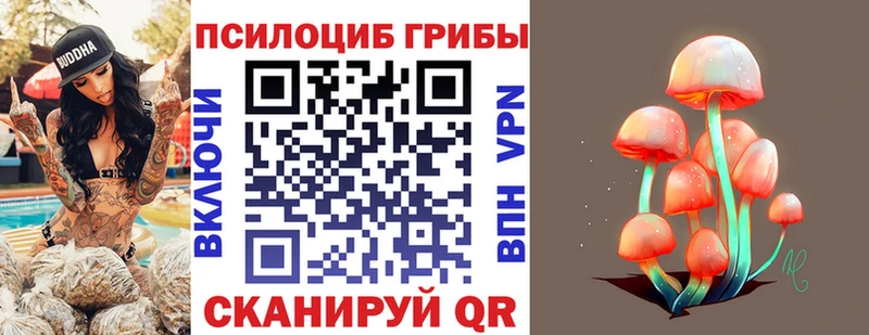 Купить закладки  Меленки  Псилоцибиновые грибы Psilocybe 